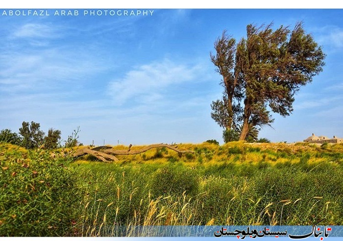 نمایشگاه عکس مجازی سیستان از دریچه دوربین ابوالفضل عرب